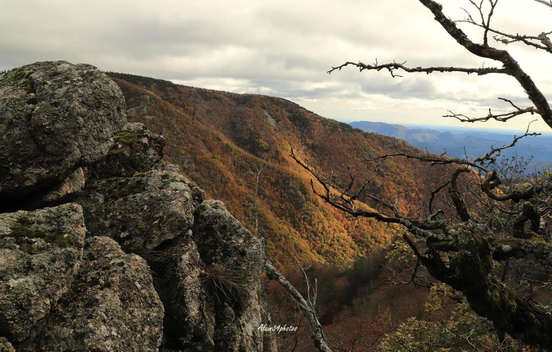 Grand Gite, Mas Favieres Notre-Dame-de-la-Rouvière Exteriör bild